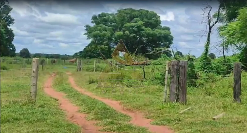 Fazenda, 1220 hectares - Foto 4