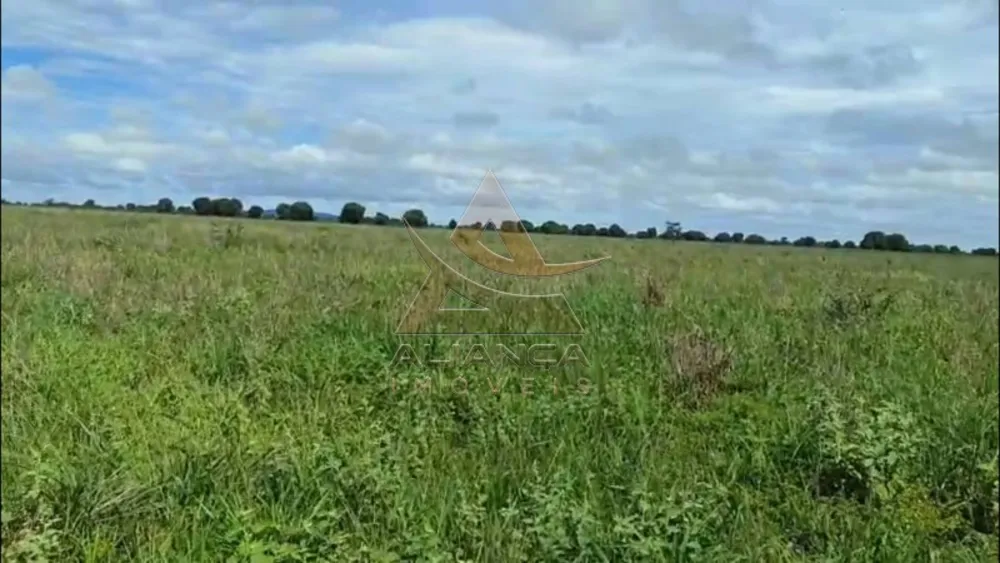 Fazenda, 1220 hectares - Foto 6