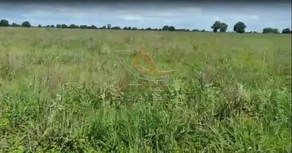 Fazenda, 1220 hectares - Foto 1
