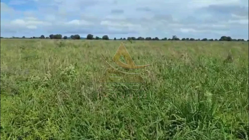 Fazenda, 1220 hectares - Foto 7