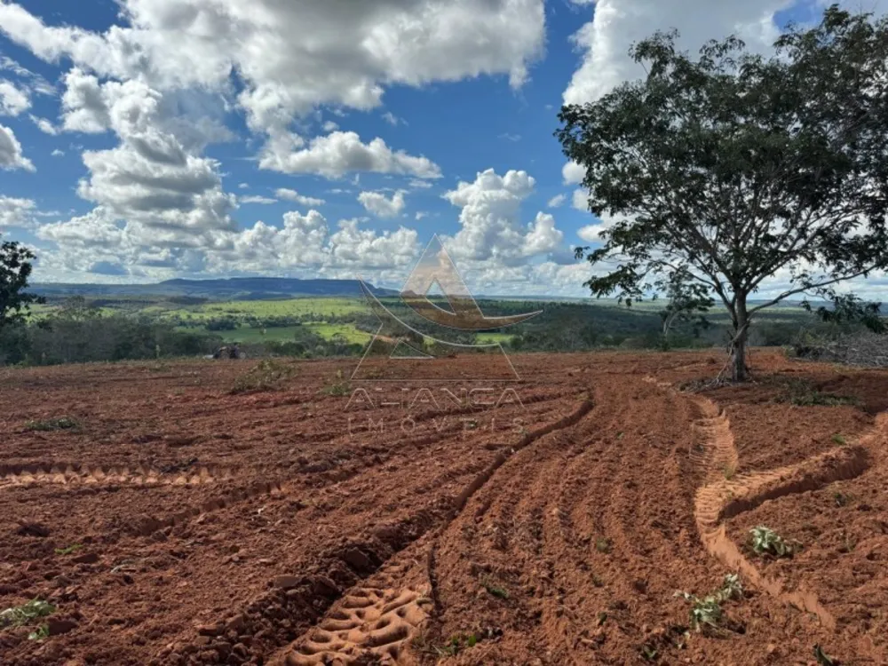 Fazenda, 2194 hectares - Foto 2