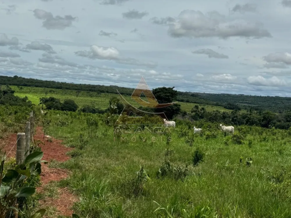 Fazenda, 2194 hectares - Foto 4