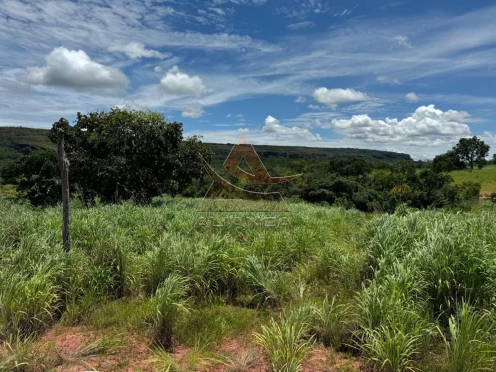 Fazenda, 2194 hectares - Foto 5