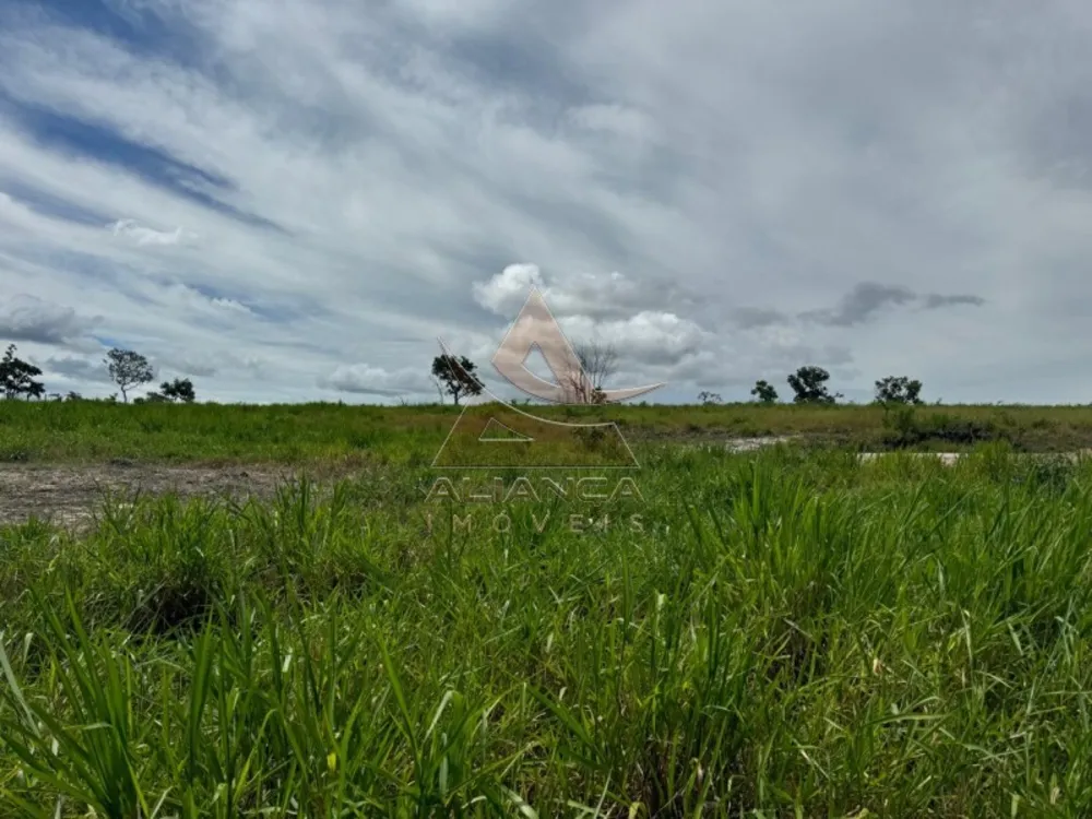 Fazenda, 2194 hectares - Foto 1