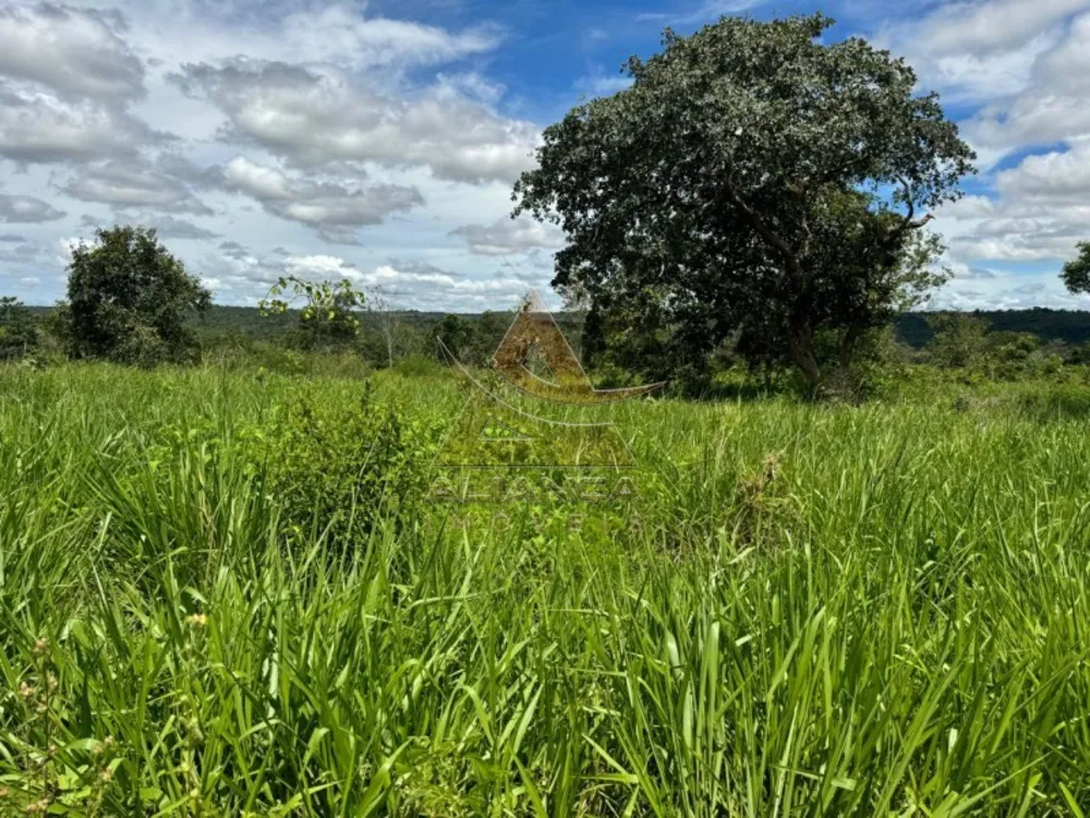 Fazenda, 2194 hectares - Foto 8