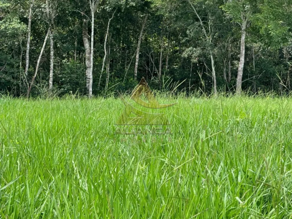 Fazenda, 2194 hectares - Foto 3