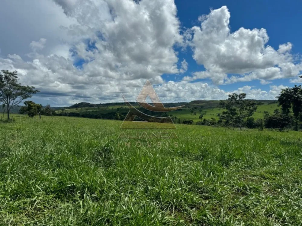 Fazenda, 2194 hectares - Foto 2