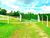 Fazenda, 6 hectares - Foto 13