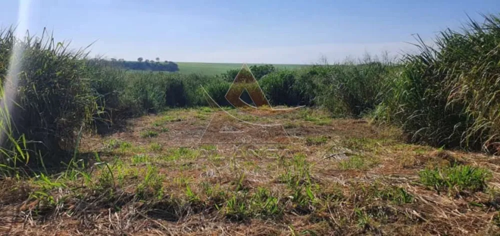 Terreno, 160 m² - Foto 1
