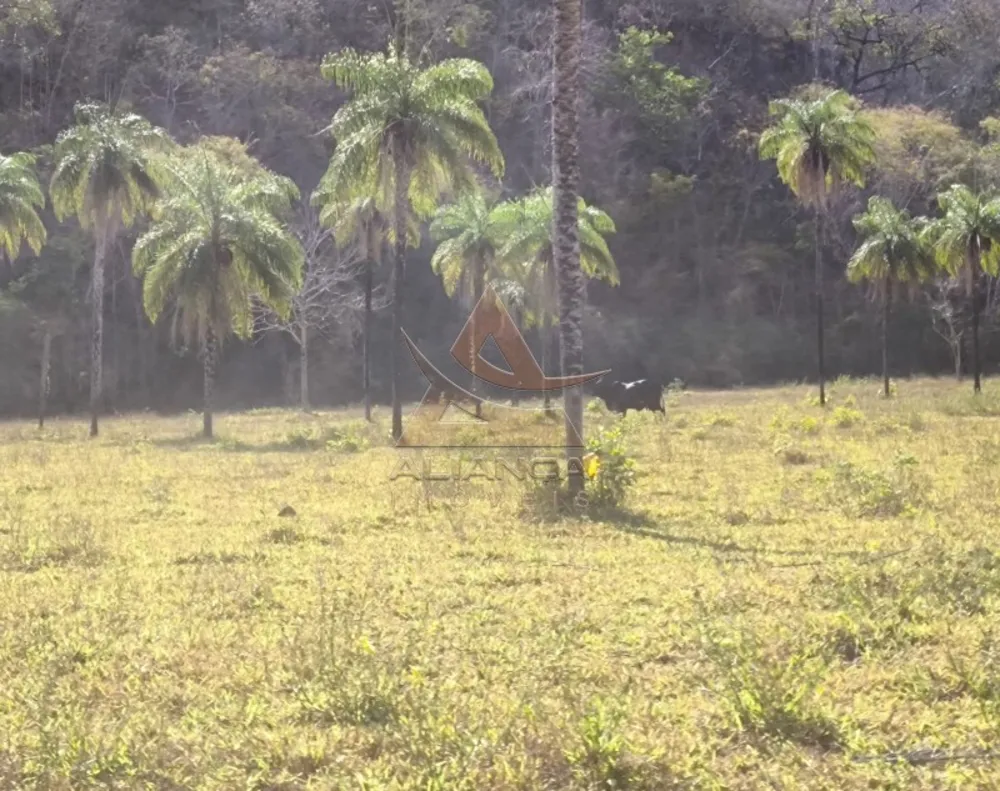 Fazenda, 3872 hectares - Foto 4