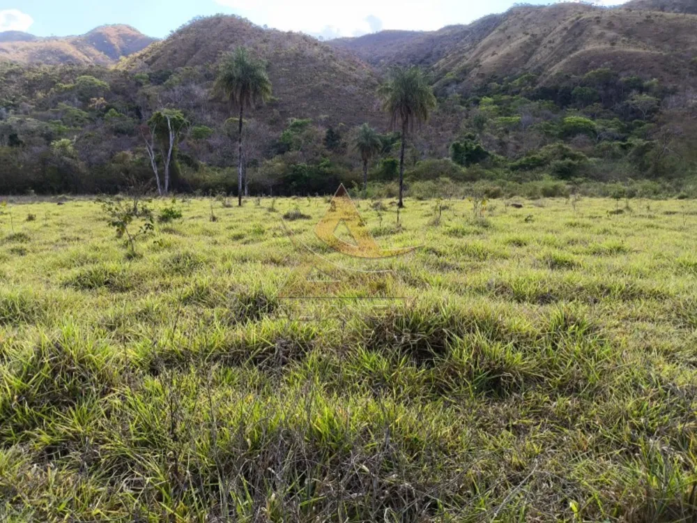 Fazenda, 3872 hectares - Foto 6