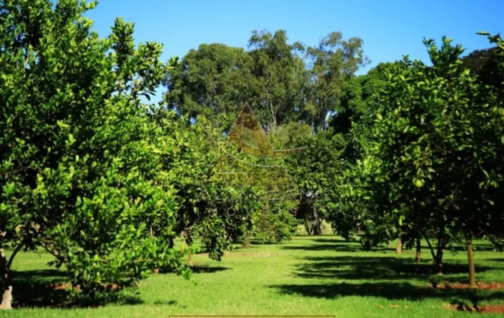 Fazenda, 8023 hectares - Foto 4