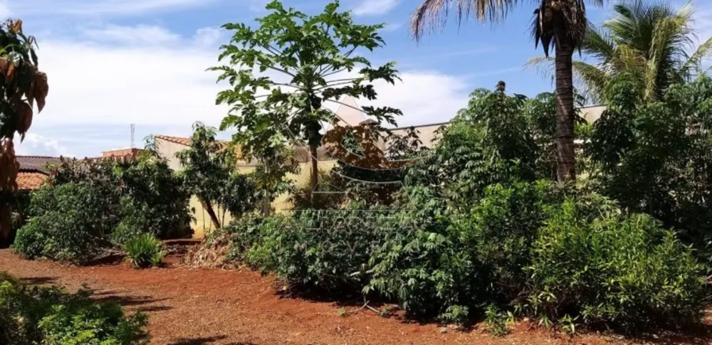 Terreno, 620 m² - Foto 12