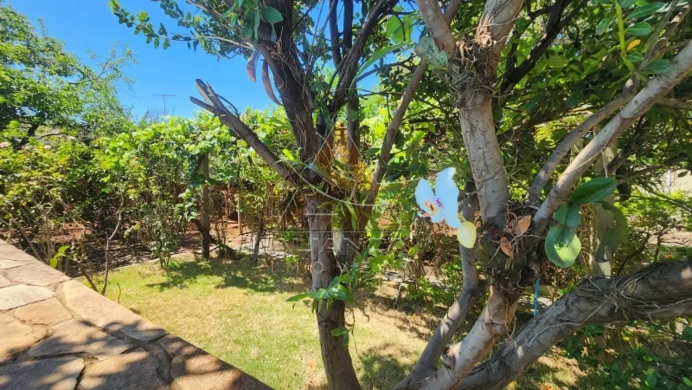 Chácara, 3 quartos, 700 m² - Foto 7