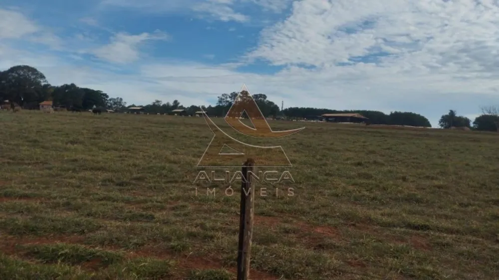 Fazenda, 2237 hectares - Foto 7
