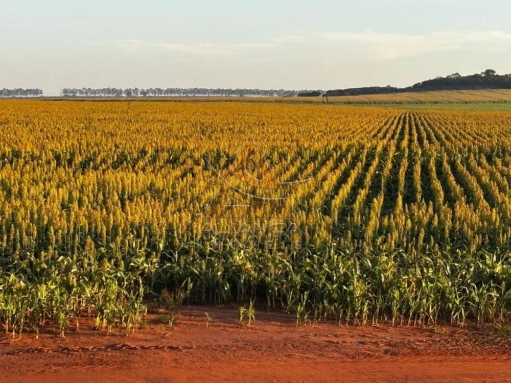 Fazenda, 2237 hectares - Foto 6