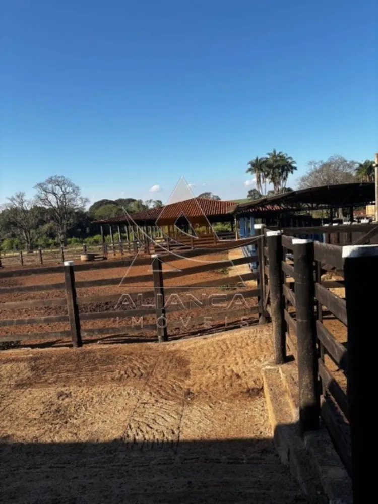 Fazenda, 2237 hectares - Foto 3