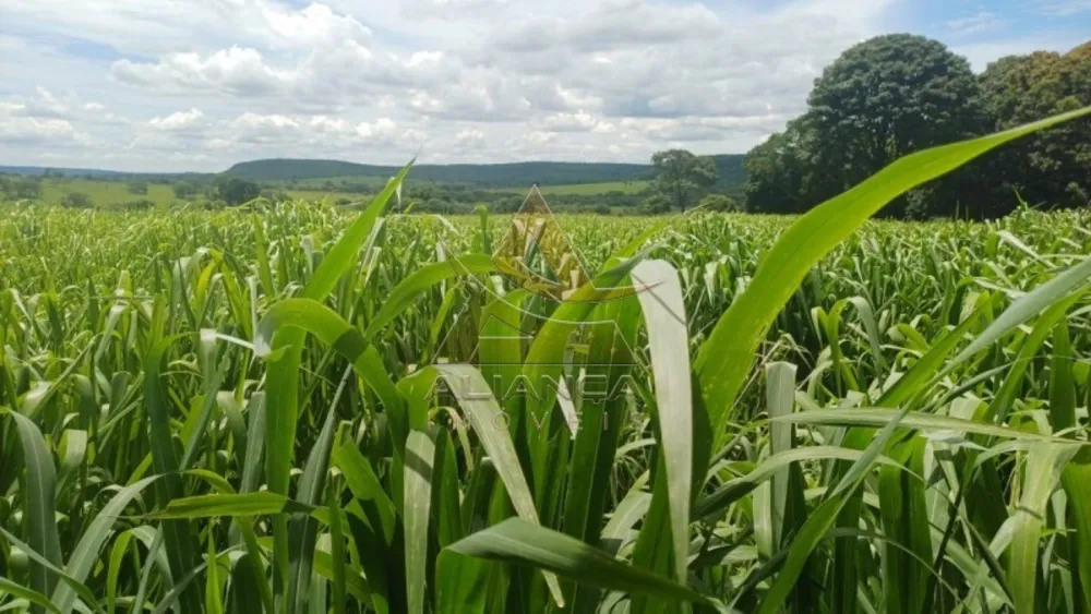 Fazenda, 367 hectares - Foto 2