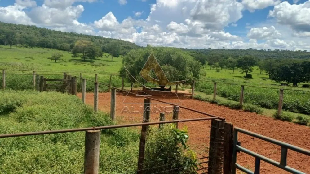 Fazenda, 367 hectares - Foto 5
