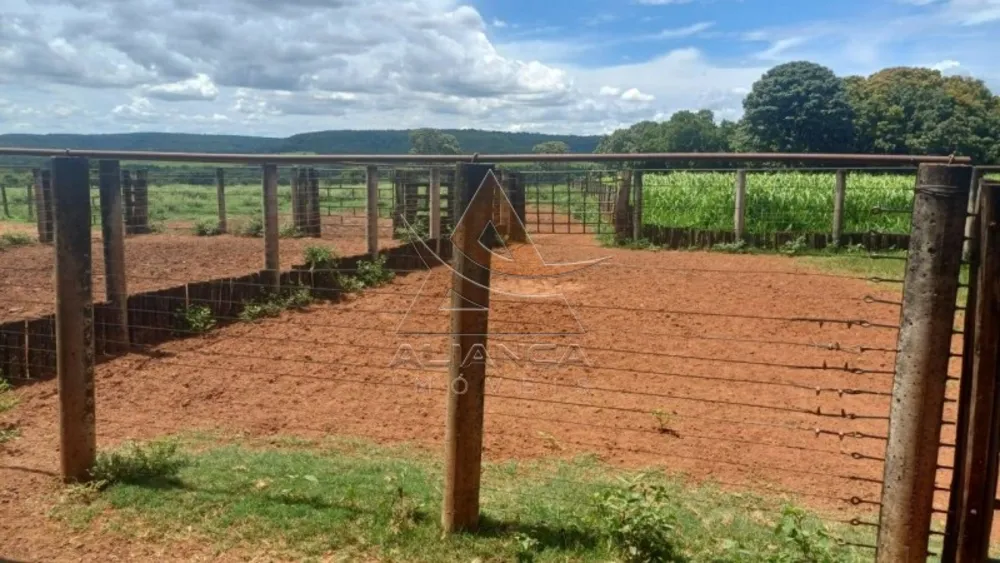 Fazenda, 367 hectares - Foto 6