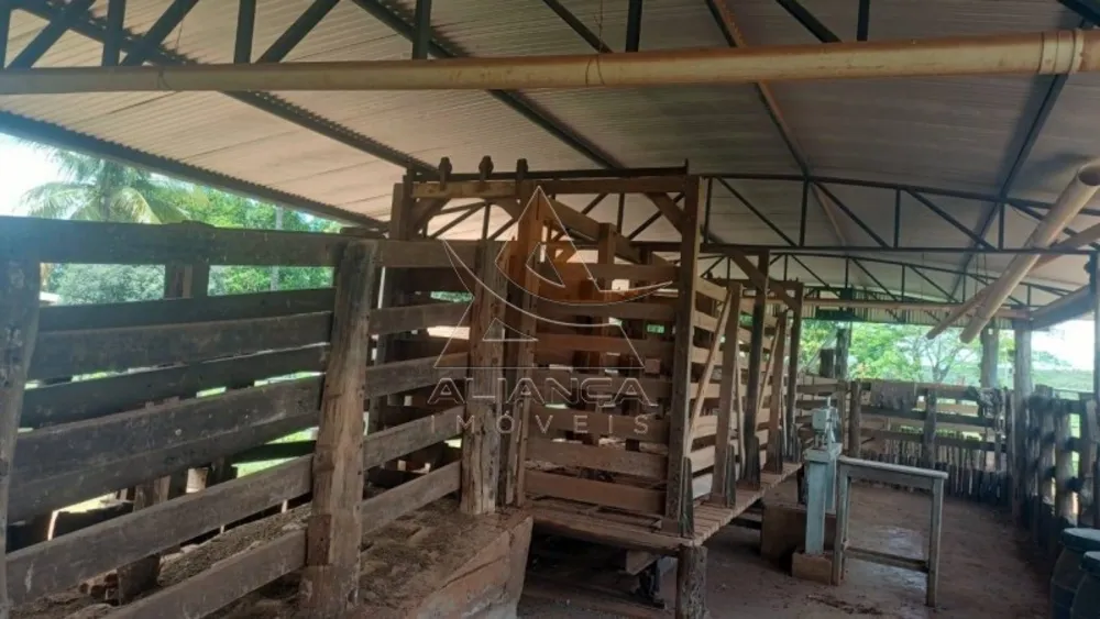 Fazenda, 367 hectares - Foto 7
