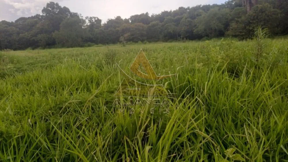 Fazenda, 367 hectares - Foto 1