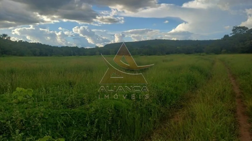 Fazenda, 367 hectares - Foto 4