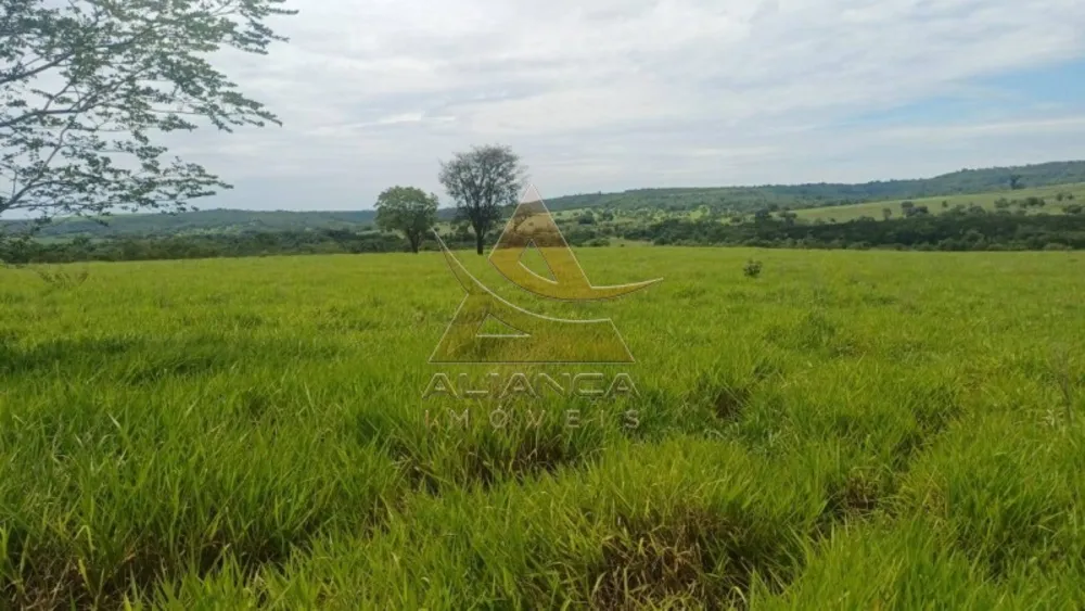 Fazenda, 367 hectares - Foto 3
