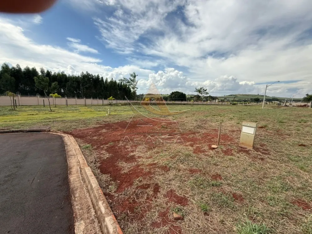Terreno, 252 m² - Foto 4