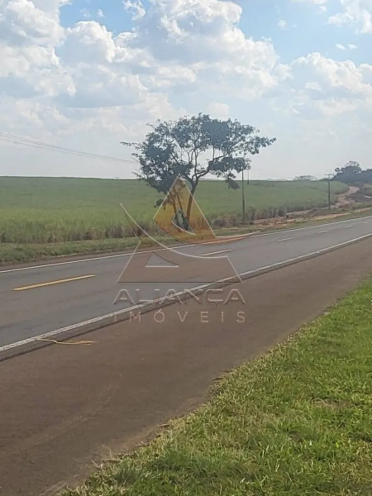 Fazenda, 958 hectares - Foto 8