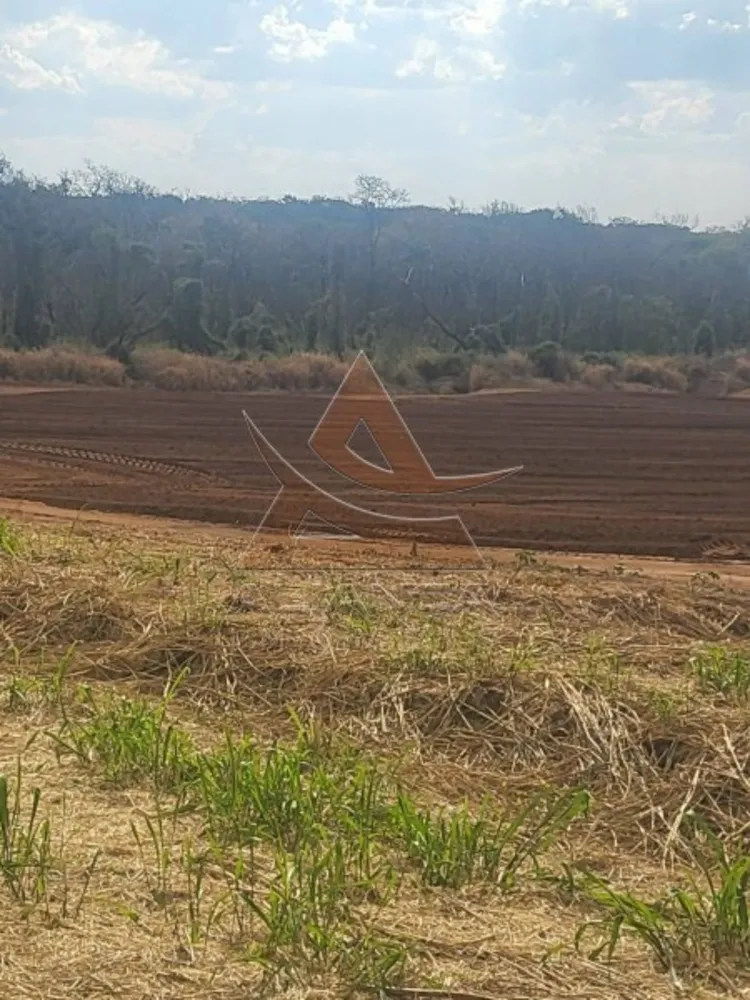 Fazenda, 958 hectares - Foto 5