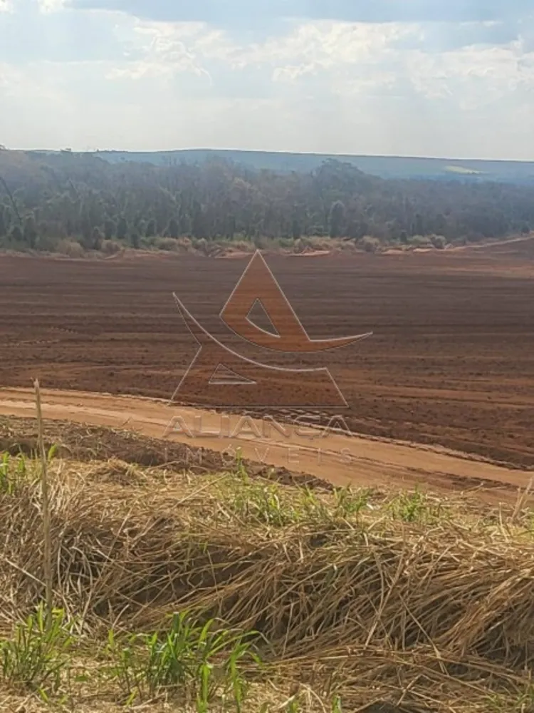 Fazenda, 958 hectares - Foto 6
