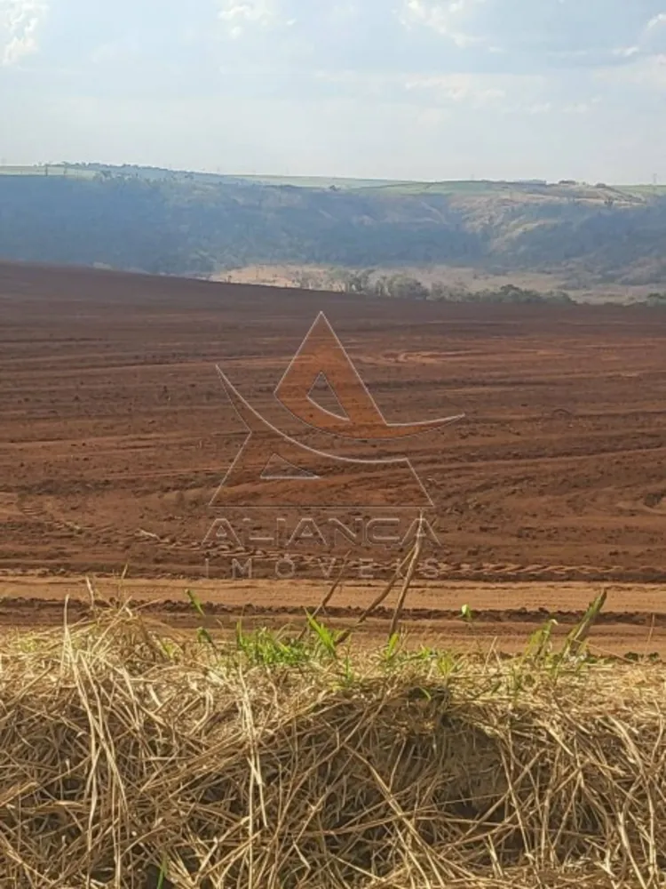 Fazenda, 958 hectares - Foto 7
