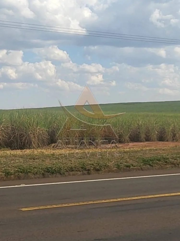 Fazenda, 958 hectares - Foto 3