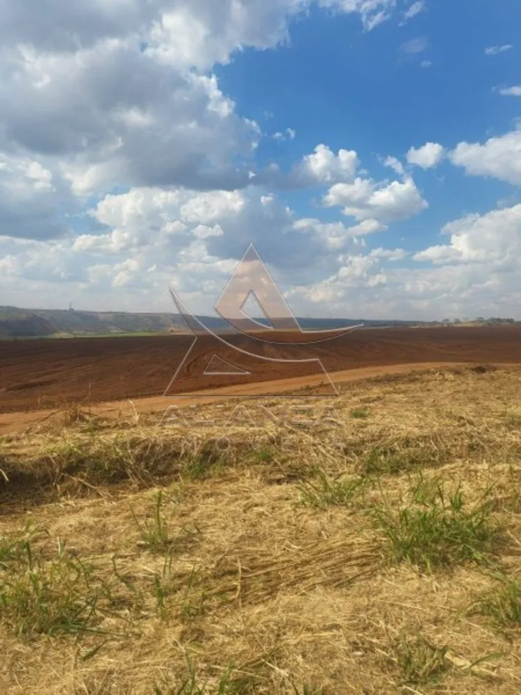 Fazenda, 958 hectares - Foto 2