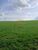 Fazenda, 140 hectares - Foto 3
