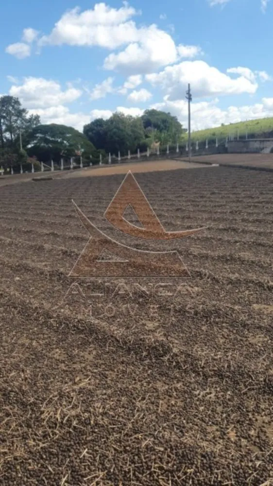 Fazenda, 491 hectares - Foto 6