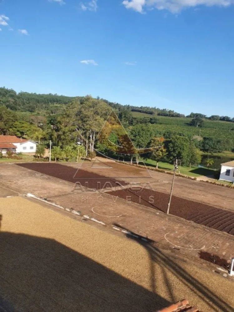 Fazenda, 491 hectares - Foto 7