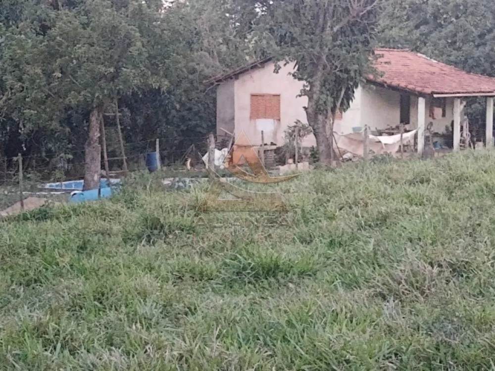 Sítio, 2 quartos, 36 hectares - Foto 8