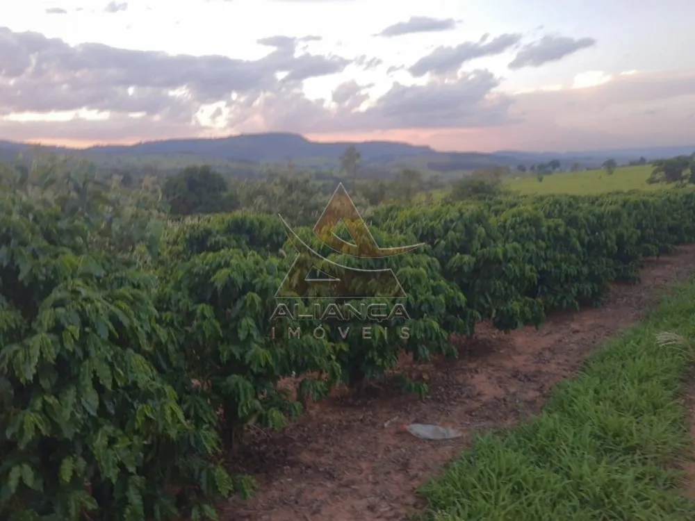 Sítio, 2 quartos, 36 hectares - Foto 4