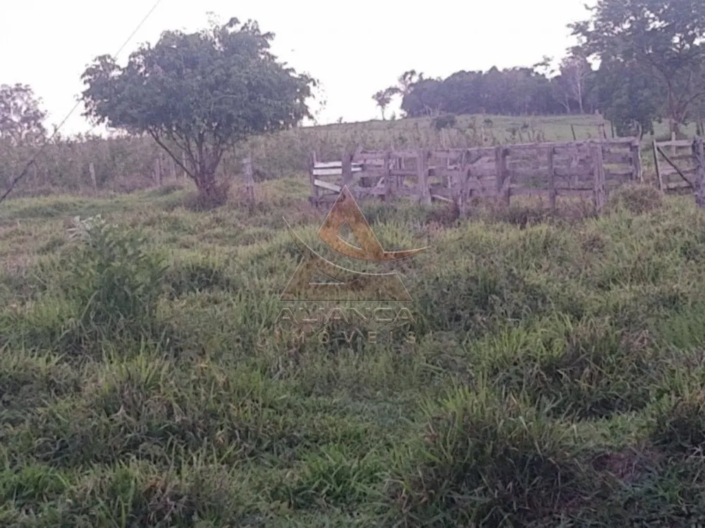 Sítio, 2 quartos, 36 hectares - Foto 3