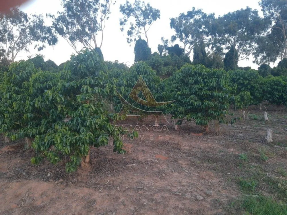 Sítio, 2 quartos, 36 hectares - Foto 1