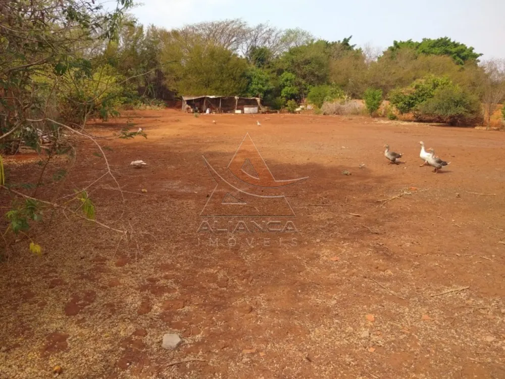 Terreno, 2 hectares - Foto 1