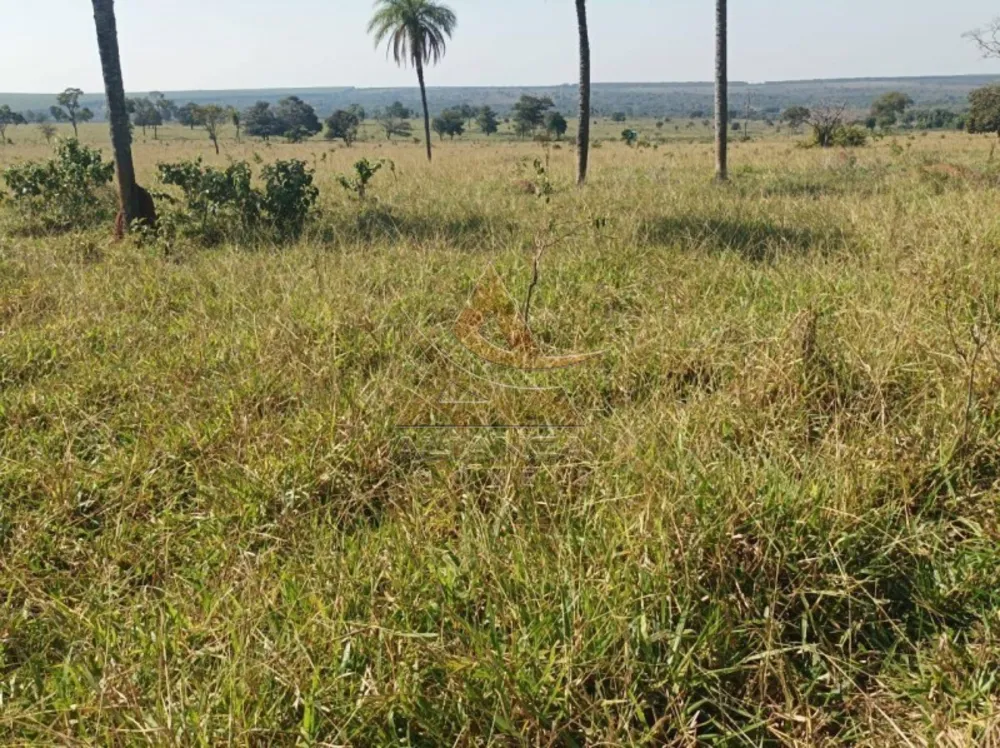 Fazenda, 270 hectares - Foto 5