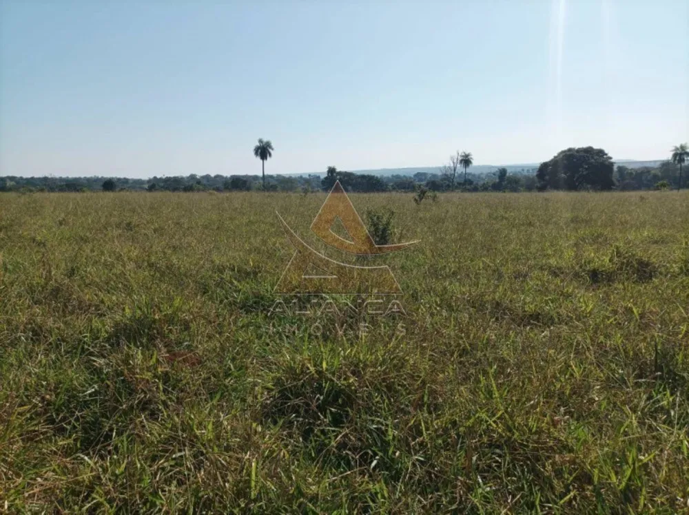 Fazenda, 270 hectares - Foto 3