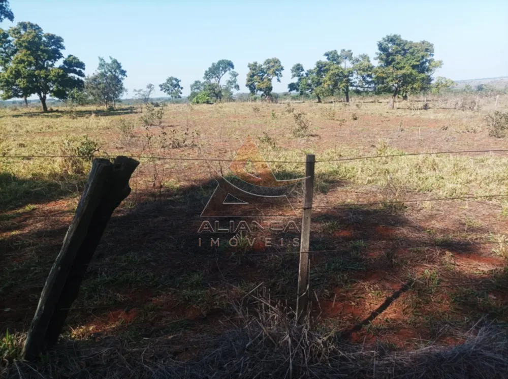 Fazenda, 270 hectares - Foto 2