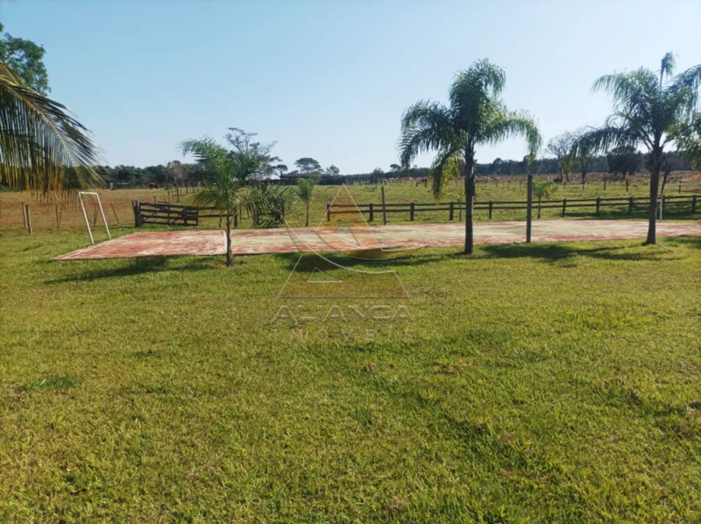 Fazenda, 270 hectares - Foto 7