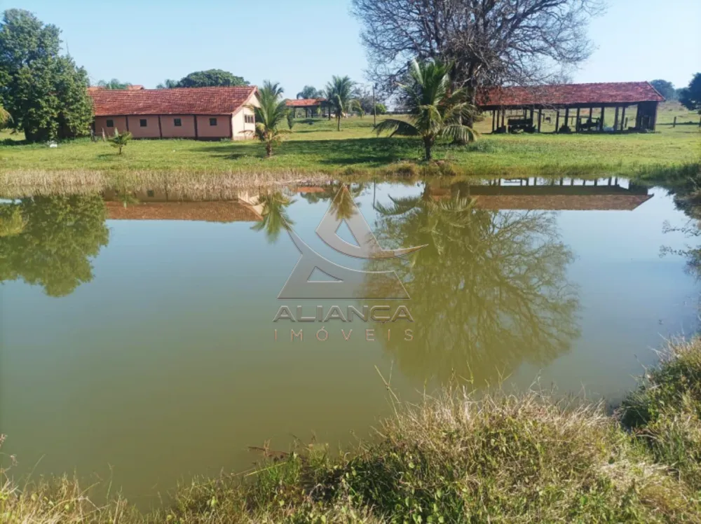 Fazenda, 270 hectares - Foto 4