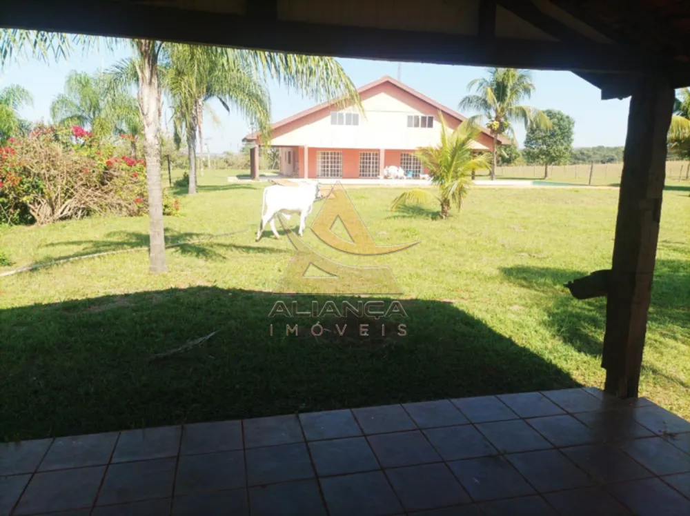 Fazenda, 270 hectares - Foto 6