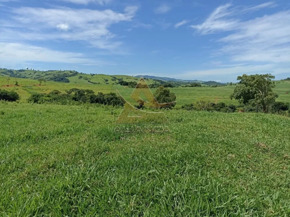 Fazenda, 581 hectares - Foto 4
